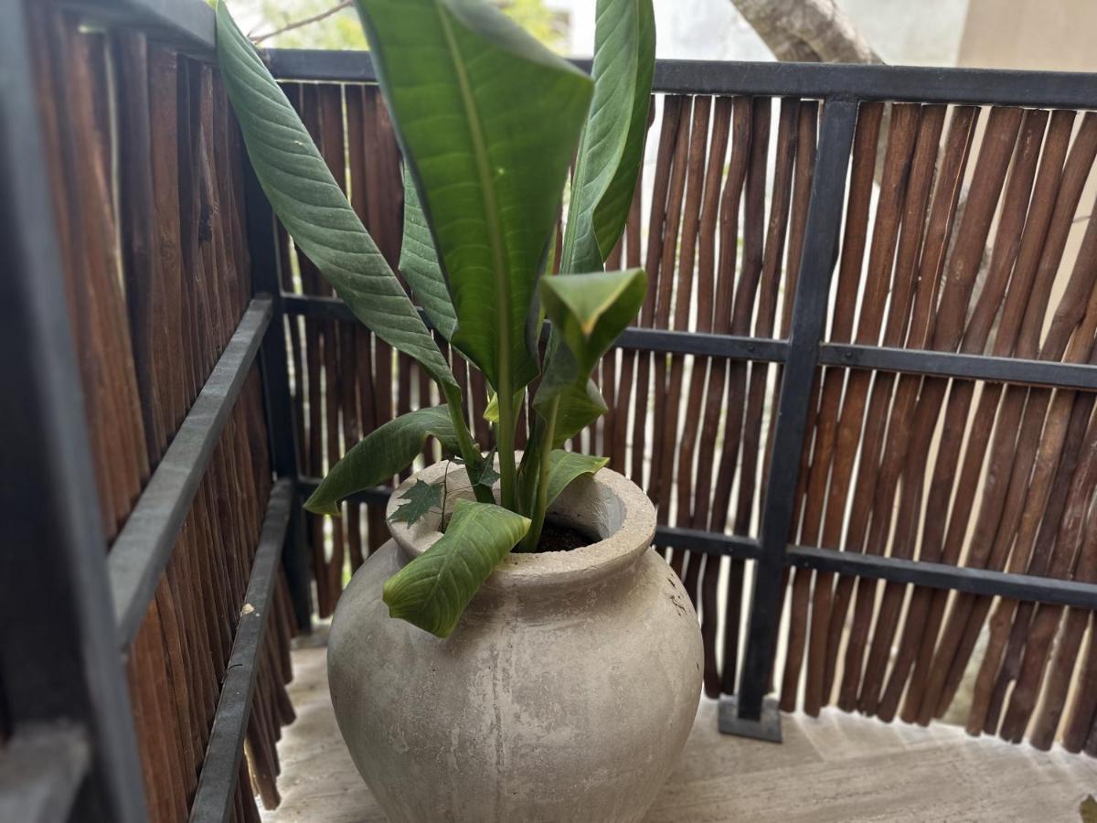 Ophelia Tulum Condo In Aldea Zama Ngoại thất bức ảnh
