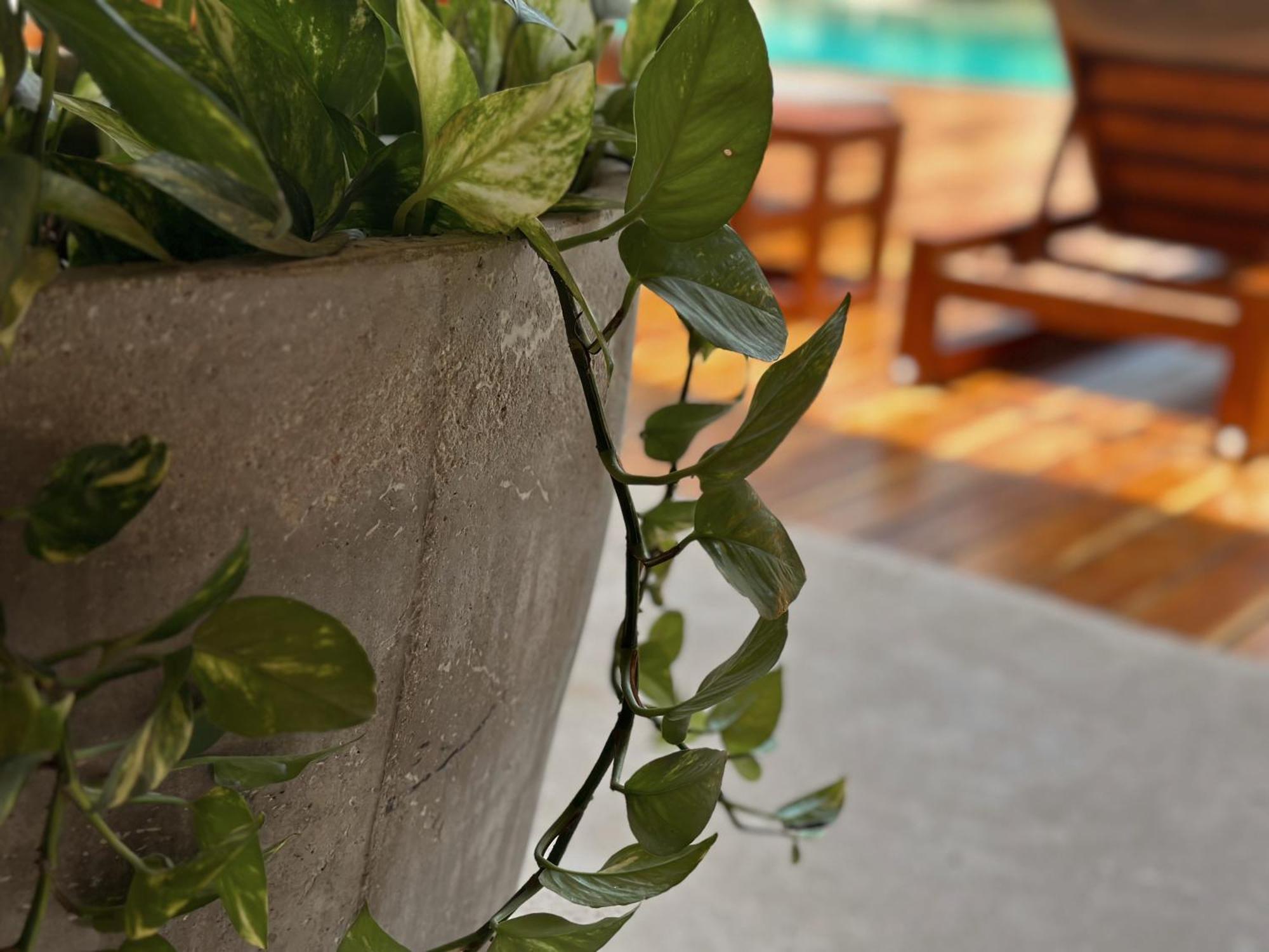 Ophelia Tulum Condo In Aldea Zama Ngoại thất bức ảnh